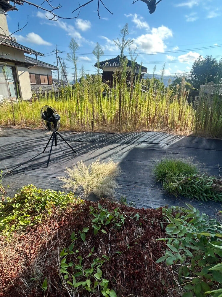 ブログ