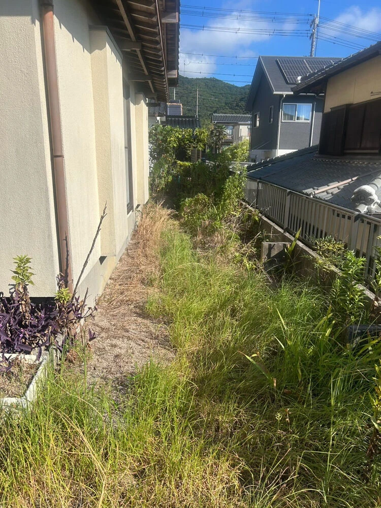 ブログ