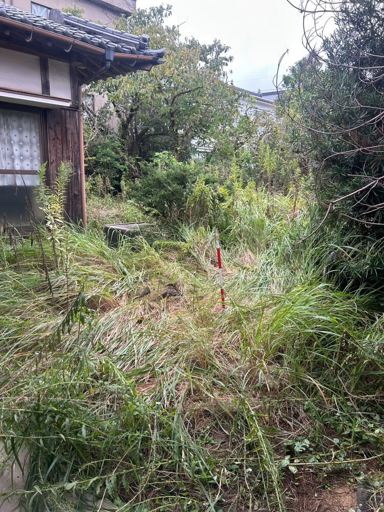 ブログ