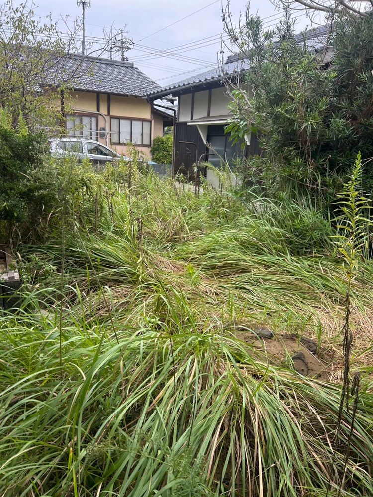 ブログ