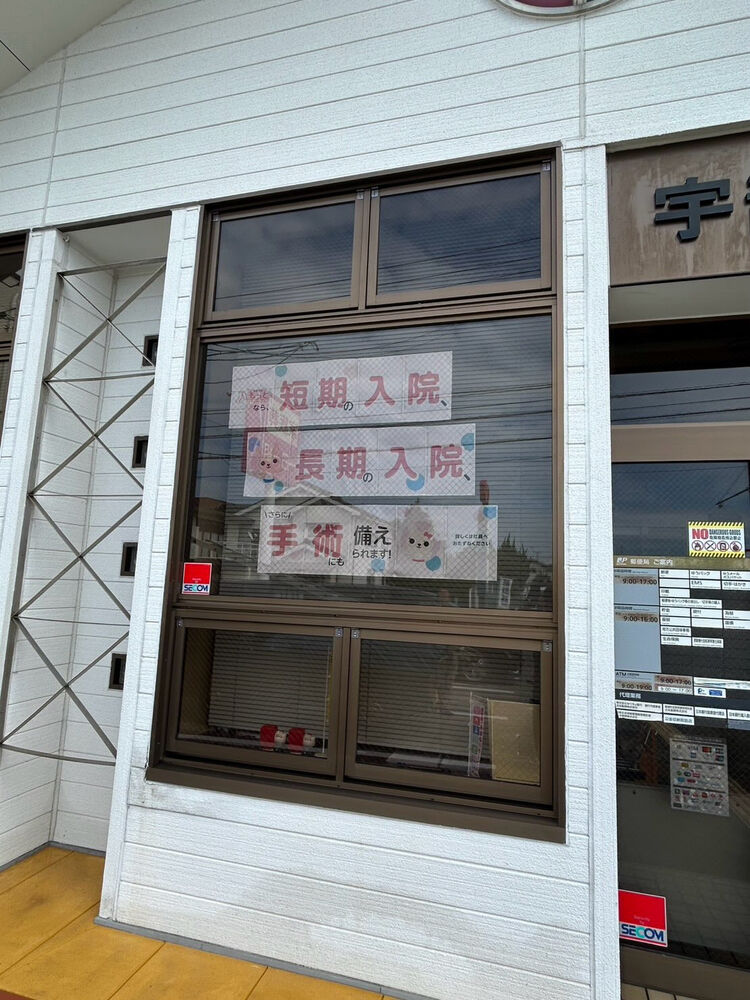 ブログ